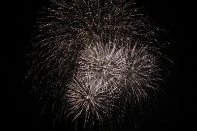 Low angle view of firework display at night