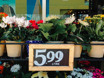 Close-up of signboard at flower shop