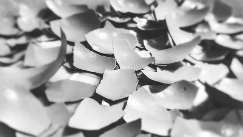 Full frame shot of broken glass