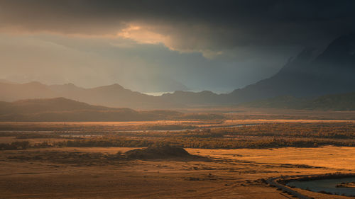 environment