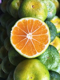 High angle view of oranges