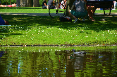 Pond in park