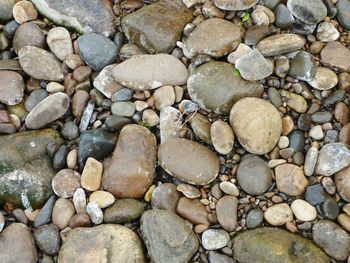 Full frame shot of pebbles