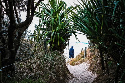 Rear view of woman walking amidst plants against sky