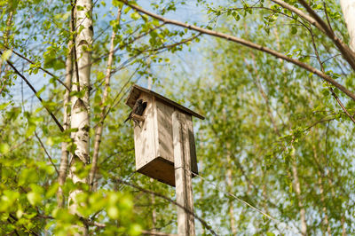 Low angle view of birdhouse on tree