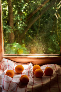 Close-up of oranges on glass window