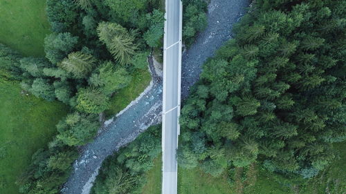 High angle view of road amidst trees in forest