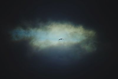 Low angle view of silhouette bird flying against sky