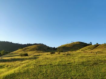 Scenic view of landscape against clear blue sky