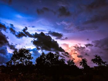 Low angle view of silhouette trees against sky during sunset