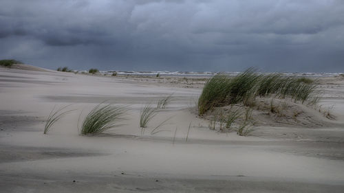 Scenic view of beach against sky during winter