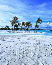 Palm trees on beach against blue sky