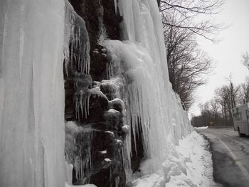 Close-up of frozen trees during winter