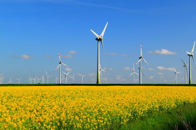 Scenic view of oilseed rape field against sky