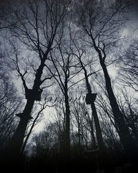 Low angle view of silhouette bare trees against sky