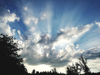 Low angle view of silhouette trees against sky
