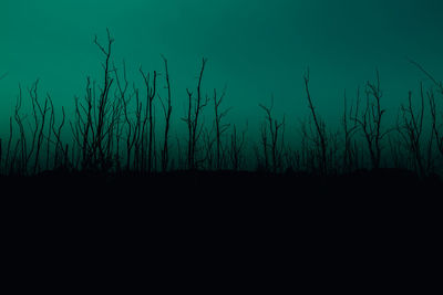 Silhouette plants against clear sky at night