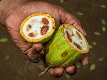 Close-up of hand holding fruit