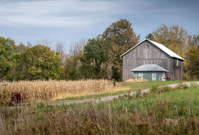 Neat little barn along side a corn field, ready to harvest, in michigan usa