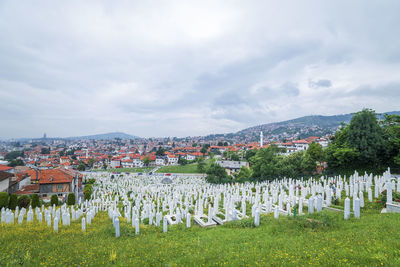 Martyrs memorial cemetery kovaci in sarajevo, bosnia and herzegovina