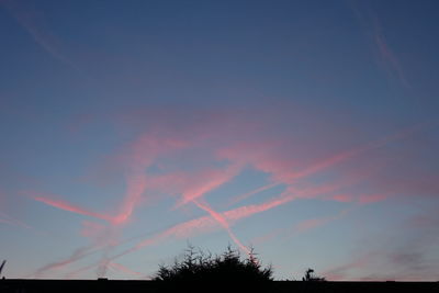 Low angle view of silhouette trees against sky during sunset