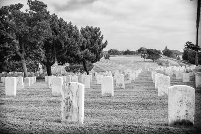 Cemeteries on field against sky