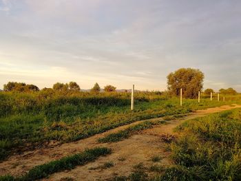 Scenic view of field against sky