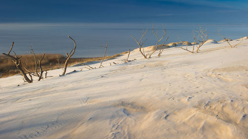 Scenic view of snow covered land against sky