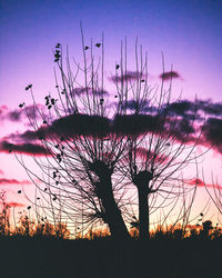 Silhouette plants against sky during sunset