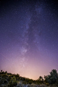 Low angle view of star field against star field