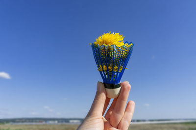 Close-up of hand holding plant against blue sky