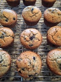 High angle view of cupcakes on metal grate