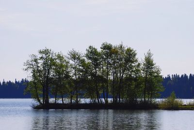 Scenic view of lake in forest against sky