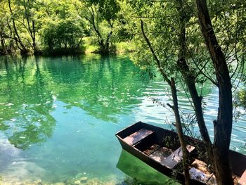 Scenic view of lake in forest