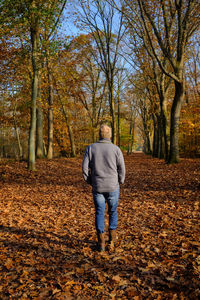 Rear view of man walking in forest