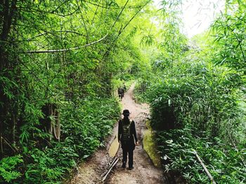 Rear view of man walking on footpath in forest