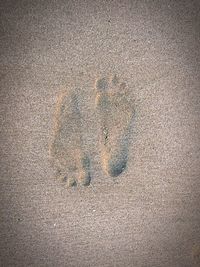 High angle view of footprints on sand at beach