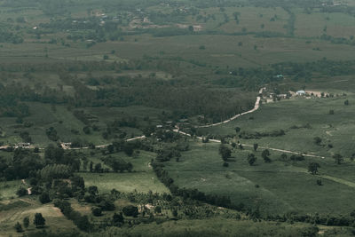 High angle view of trees on field