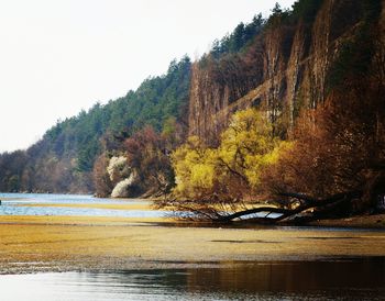 Scenic view of lake by trees against sky