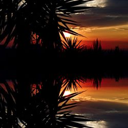 Silhouette palm trees against romantic sky at sunset