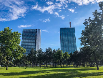 Trees in city against sky