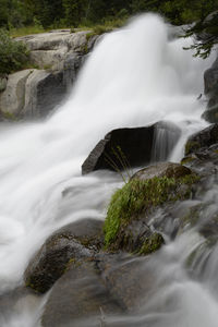 Scenic view of waterfall in forest