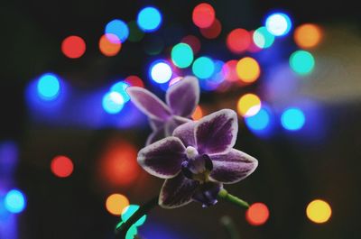 Defocused image of illuminated lights at night