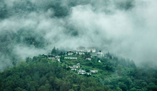 High angle view of trees on landscape against sky