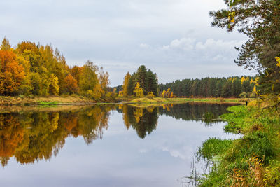 Reflection of trees in lake