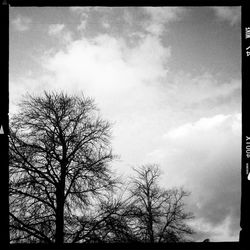 Low angle view of bare trees against cloudy sky