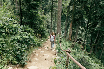 Rear view of a woman with a backpack in the mountains in a nature reserve. 