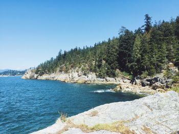 Scenic view of river against clear sky