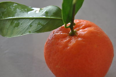 Close-up of red bell peppers