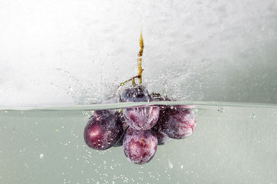 Close-up of fruits splashing water against wall